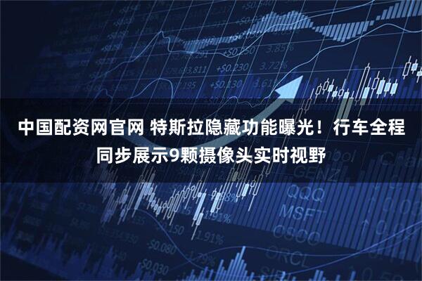 中国配资网官网 特斯拉隐藏功能曝光！行车全程同步展示9颗摄像头实时视野